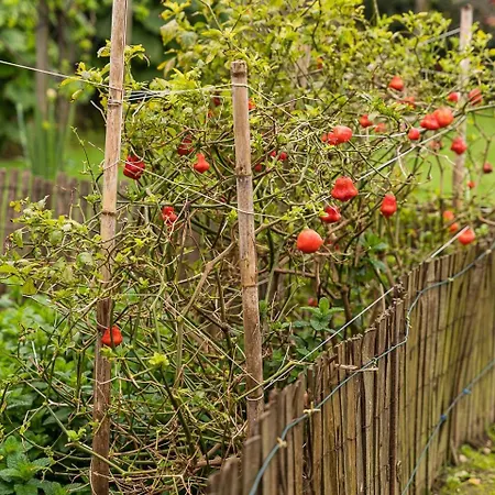 Retro-modern Retreat In Holiday home Esposende