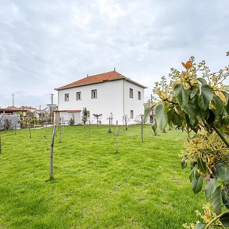 Retro-modern Retreat In Esposende