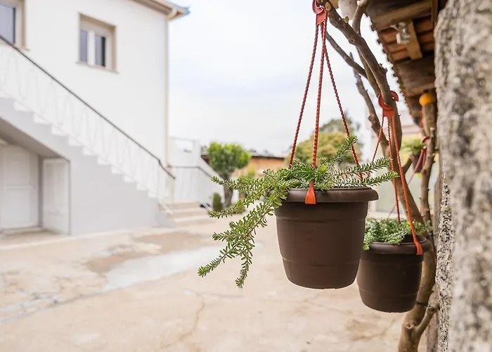 Vakantiehuis Retro-modern Retreat In