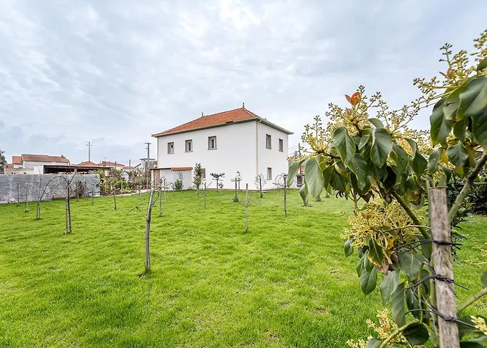 Retro-modern Retreat In Esposende