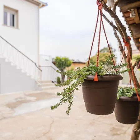 Guest house Retro-modern Retreat In