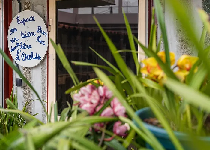 Feriehus Retro-modern Retreat In