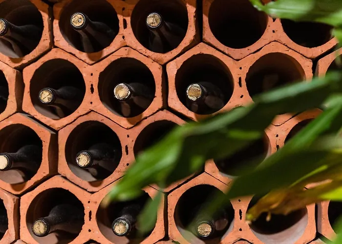 Feriehus Retro-modern Retreat In Esposende