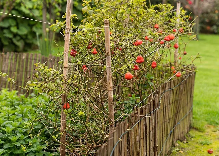 Retro-modern Retreat In Feriehus Esposende
