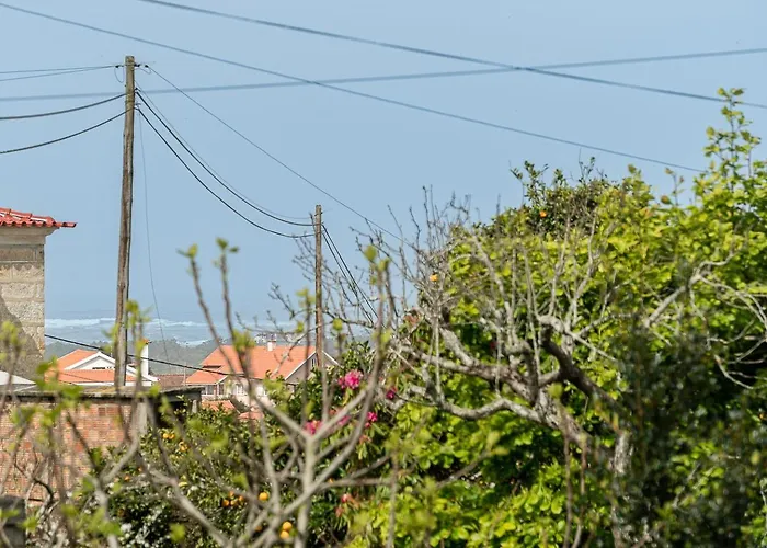 Retro-modern Retreat In Feriehus